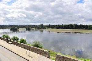 Les sternes de st Mathurin sur Loire , vue Loire