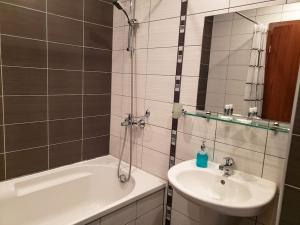 Forest View Studio D25