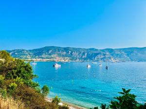 Fiorellas Cannes Oasis