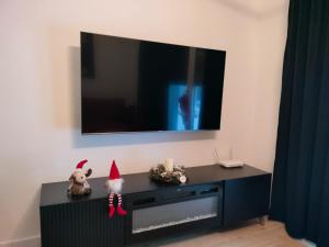 Bielsko City Center Soul Apartment