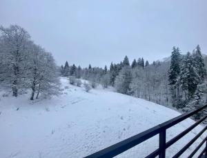 Duplex apartment near the forest
