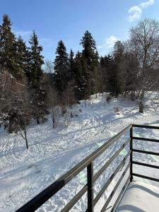 Duplex apartment near the forest