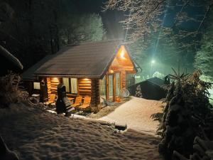 Cabana din Groapa Frumoasa