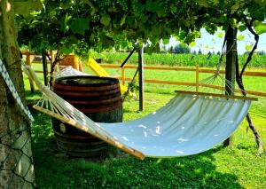 Turistična kmetija Hiša ob gozdu pri Ptuju