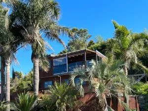 The Oasis - 图图卡卡