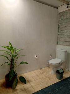 The Blue Joglo Jogja