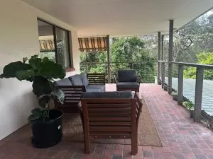 Amongst the Trees - Mooloolah