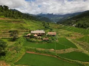 Zoni Home Trạm Tấu - Sơn La