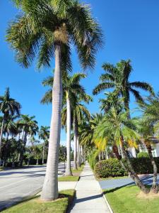 MiaBella of Hollywood home