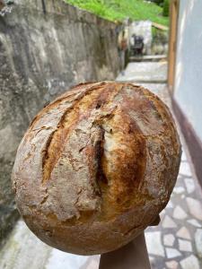 Căsuța din Pădure