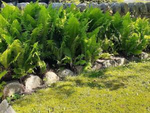 Queens Chamber w King Heavenly Bed at Nottingham Place in Wise