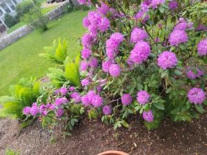 Queens Chamber w King Heavenly Bed at Nottingham Place in Wise