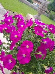 Queens Chamber w King Heavenly Bed at Nottingham Place in Wise