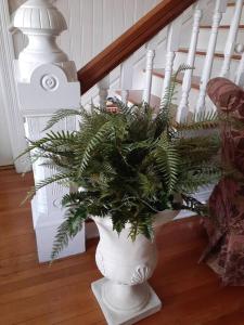 Queens Chamber w King Heavenly Bed at Nottingham Place in Wise