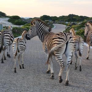 Lighthouse Villa Romansbaai