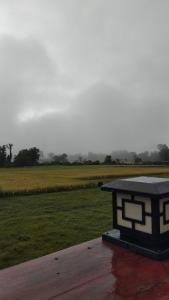 ต้นผึ้ง แอทโฮม