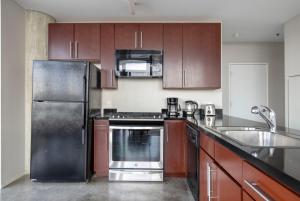 South Loop 2br w rooftop 3 blocks to grant park CHI-1018
