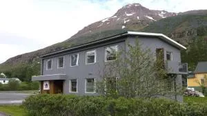 Seydisfjördur Guesthouse - 内斯考塔杜尔