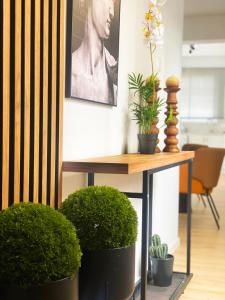 Luxury City Retreat- 2-Bedroom, 2-Bath Apartment