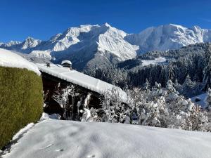 Vue splendide Mont Blanc