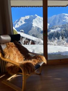 Vue splendide Mont Blanc