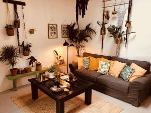 Cuarto Botánico Studio - Shared Pool - Central Island Location - 10 mins drive to Famara and La Santa