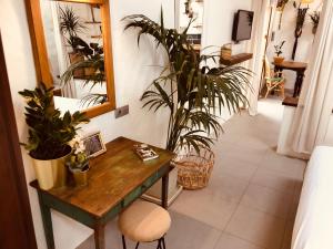 Rincon Botanico Studio - Shared Pool - Central Island Location - 10 mins drive to Famara and La Santa