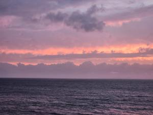 Hibernian Towers 1203