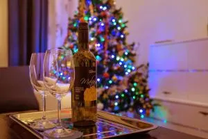 E＆E公寓  - 斯科吉卡