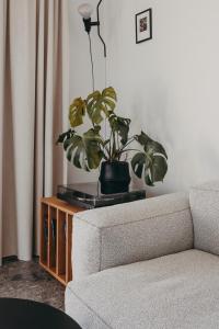 Hotels Hotel Moderne : photos des chambres