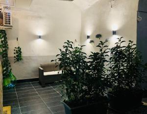 AmoniA House