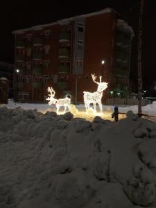 City Apartment Rovaniemi