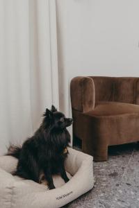 Hotels Hotel Moderne : photos des chambres