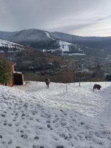 Maison de montagne avec vue panoramique
