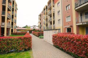 House 39 - Royal welcome