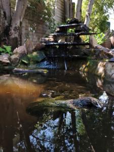 Riverbush Lodge Guesthouse