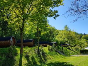 Camping Officiel Wollefsschlucht Echternach