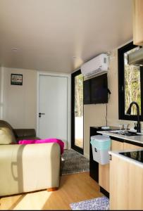 Contained Opulence 718