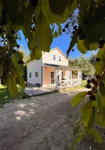 Domki na Kaszubach u Madzi - Liniewo