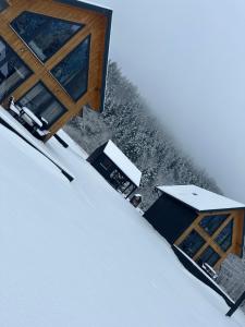 Siedlisko Widzimy Się