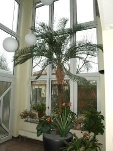 Ferienwohnung Mengelberg