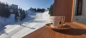 DVOSJED LUXE apartmani Jahorina - 福查