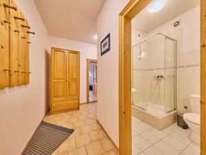 Apartment Stříbrný pramen-2 by Interhome