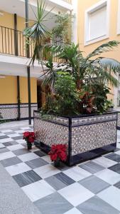 Centro de Sanlúcar, La Plata 23