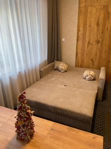 ALPINA Mountain View Apartment