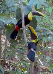 Casita Colibri–Mile to the Beach–Cable&Fiber Wifi!