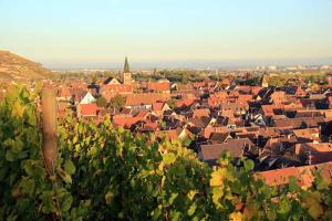 Les Appartements Manala - Turckheim : Appartement 4 Pièces