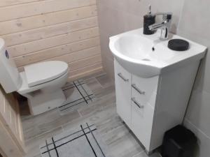 Bieszczady Domek Jula