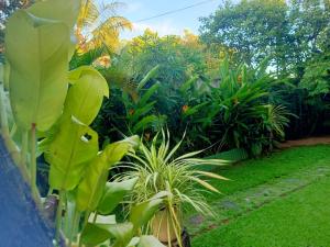 Lahiru Villa