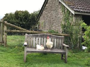 The Bothy at Oak Farm